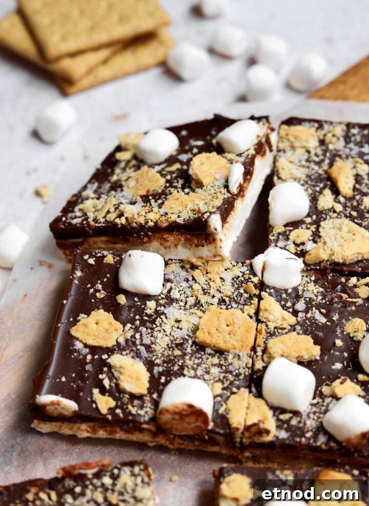 Gooey S'mores Bark Recipe for Dessert Lovers 5 s'mores bark sliced with one piece slanted up showing different layers