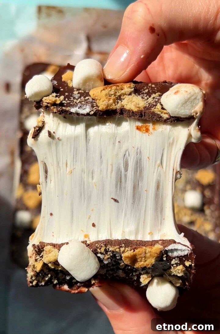 Gooey S'mores Bark Recipe for Dessert Lovers 7 s'mores bark broken in half showing marshmallow pull