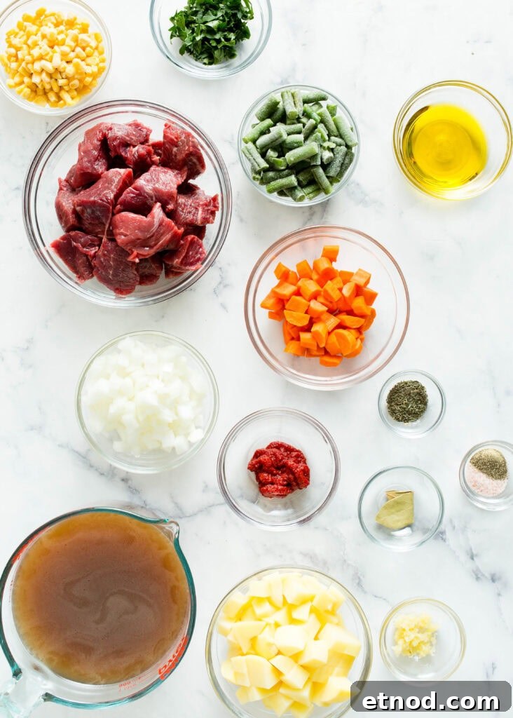 Instant Pot Beef and Vegetable Soup Recipe 3 ingredients for vegetable beef soup
