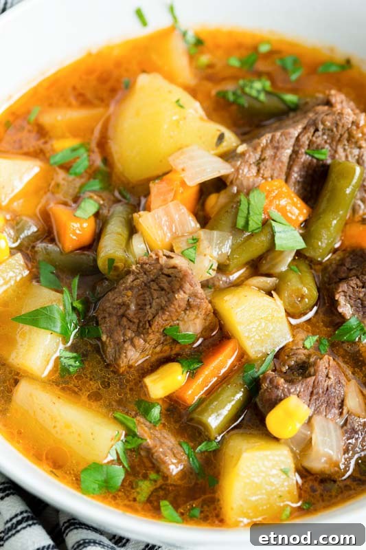 Instant Pot Beef and Vegetable Soup Recipe 4 close up vegetable beef soup