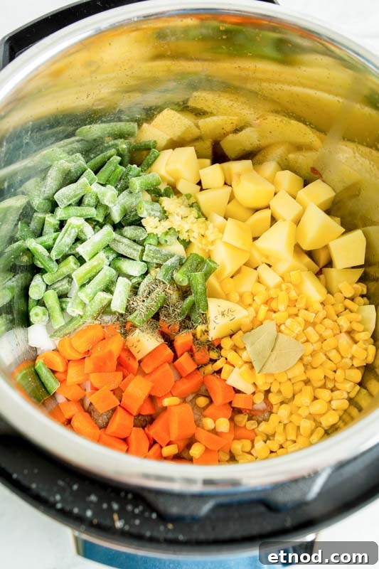 Instant Pot Beef and Vegetable Soup Recipe 5 vegetables in the instant pot