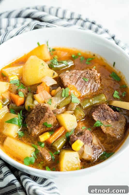 Instant Pot Beef and Vegetable Soup Recipe 6 vegetable soup with chunks of beef in a bowl