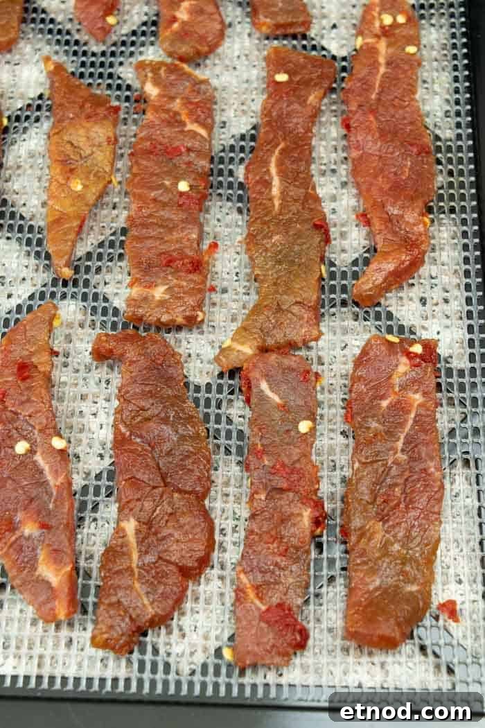 Cherry Bomb Beef Jerky: Spicy-Sweet Gourmet Snack 12 Jerky on dehydrator tray