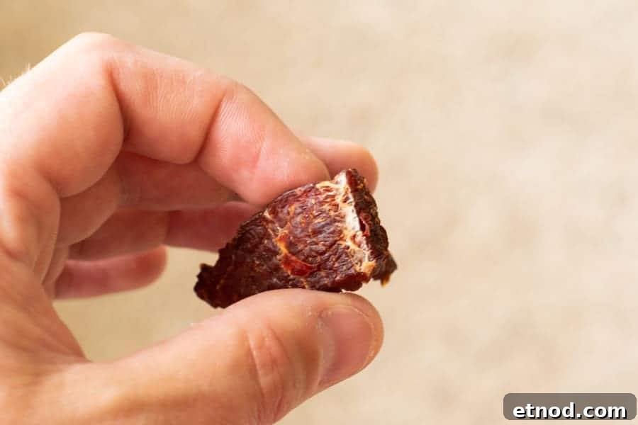 Cherry Bomb Beef Jerky: Spicy-Sweet Gourmet Snack 14 Beef jerky bent in half showing white fibers
