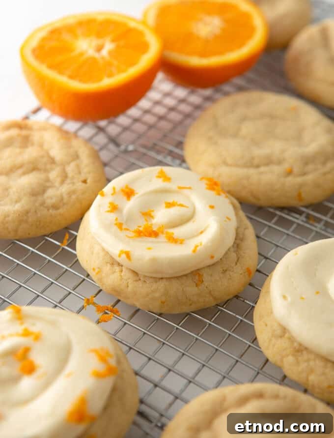 Frosted Orange Sugar Cookies Recipe with Zesty Glaze 10 frosted orange sugar cookies on wire cooling rack