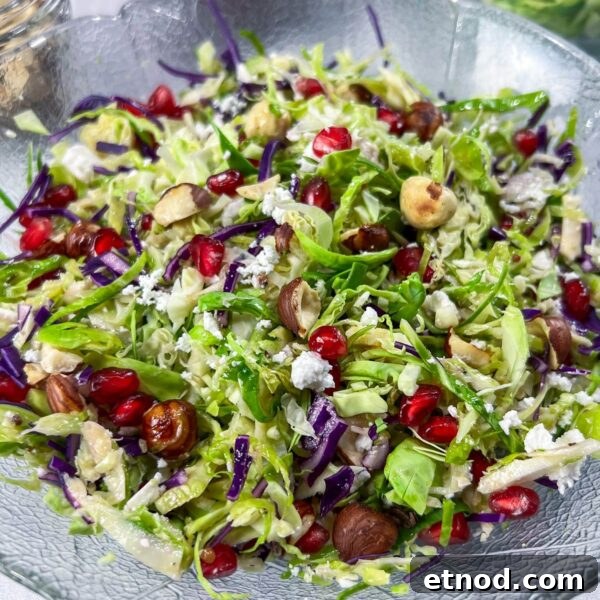 Shaved Brussels Sprouts Salad with Pomegranate and Pecans 2 shaved Brussels sprouts with pomegranate and toasted hazelnuts in bowl