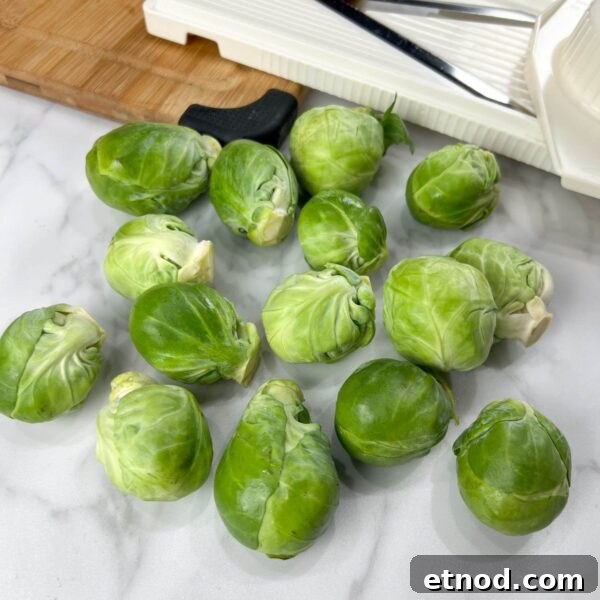 Shaved Brussels Sprouts Salad with Pomegranate and Pecans 4 brussels sprouts on white background