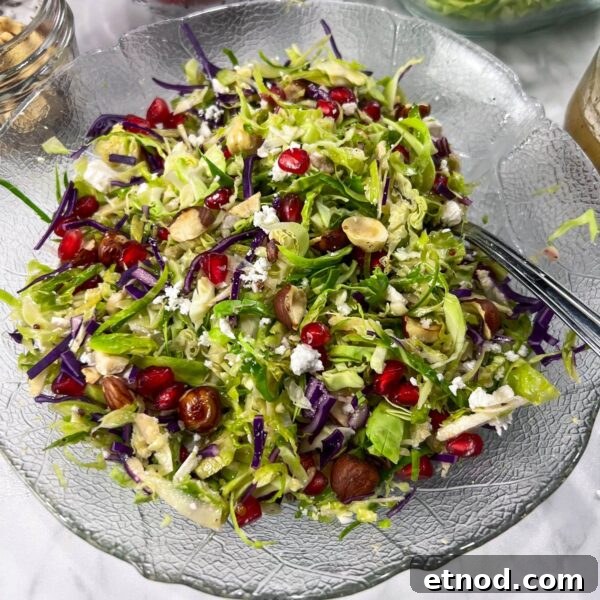 Shaved Brussels Sprouts Salad with Pomegranate and Pecans 6 shaved Brussels sprouts salad in glass dish