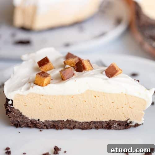 No Bake Peanut Butter Pie