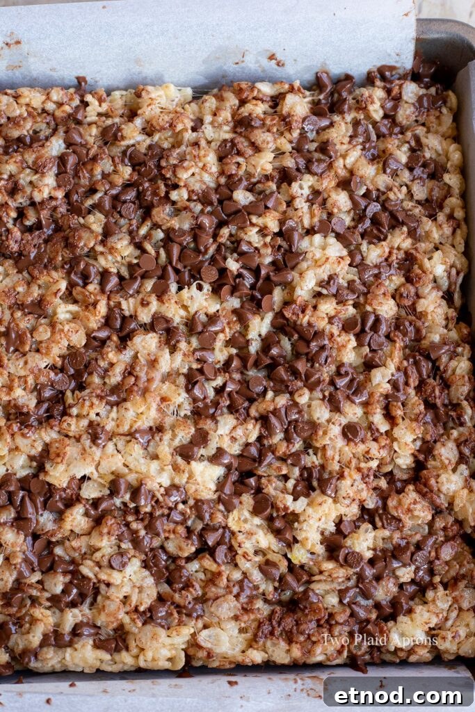 S'mores rice krispies cooling in a pan.