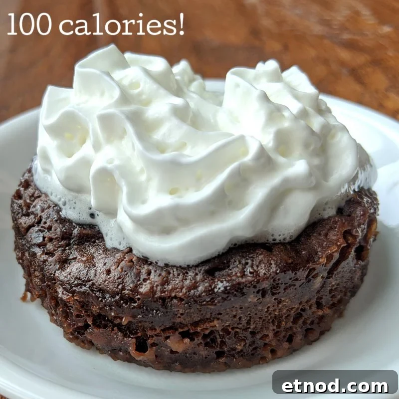 100 calorie mug brownie with nutrition info