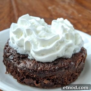 mug brownie thats only 100 calories