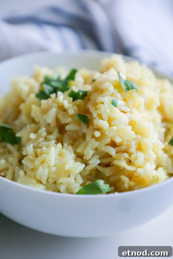 Perfect Rice Pilaf Recipe You Can Make Tonight 2 rice pilaf with parsley on it