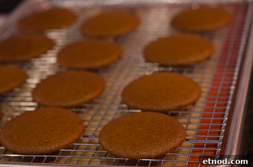Soft Ginger Cookies with Orange Glaze Recipe 14 Cookies cooling on a rack.