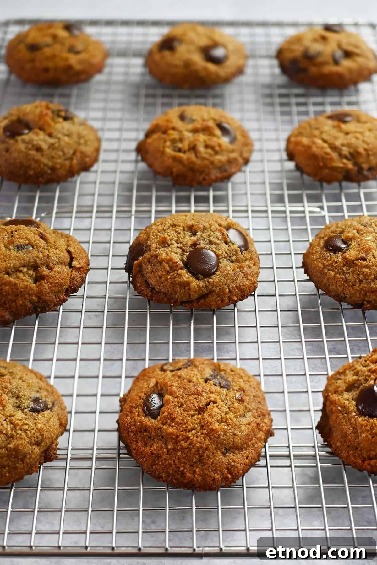 Soft Banana Chocolate Chip Cookies — Paleo Grain-Free Recipe 3 A side view of a wire rack covered with a dozen freshly baked paleo banana cookies.