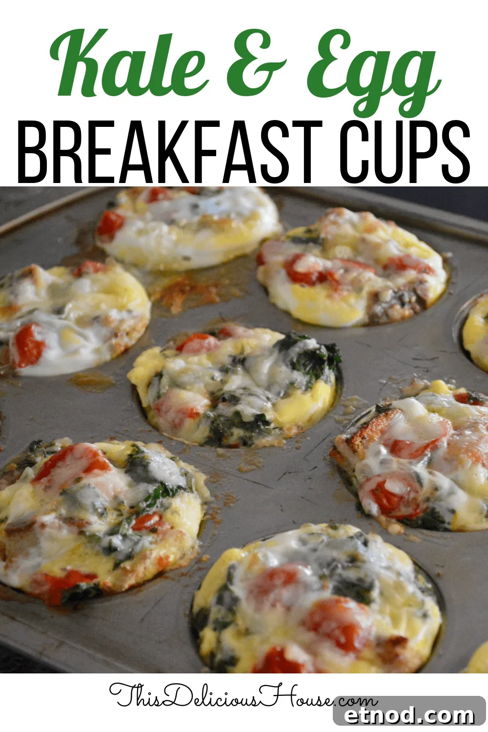 Kale Egg Breakfast Cup. 