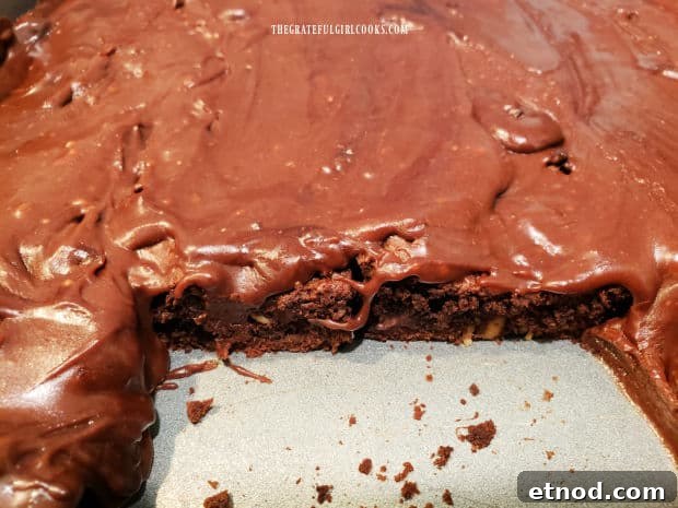 Chocolate Peanut Butter Brownies - The Grateful Girl Cooks! A pan of frosted chocolate peanut butter brownies showing the inside after removing brownies.