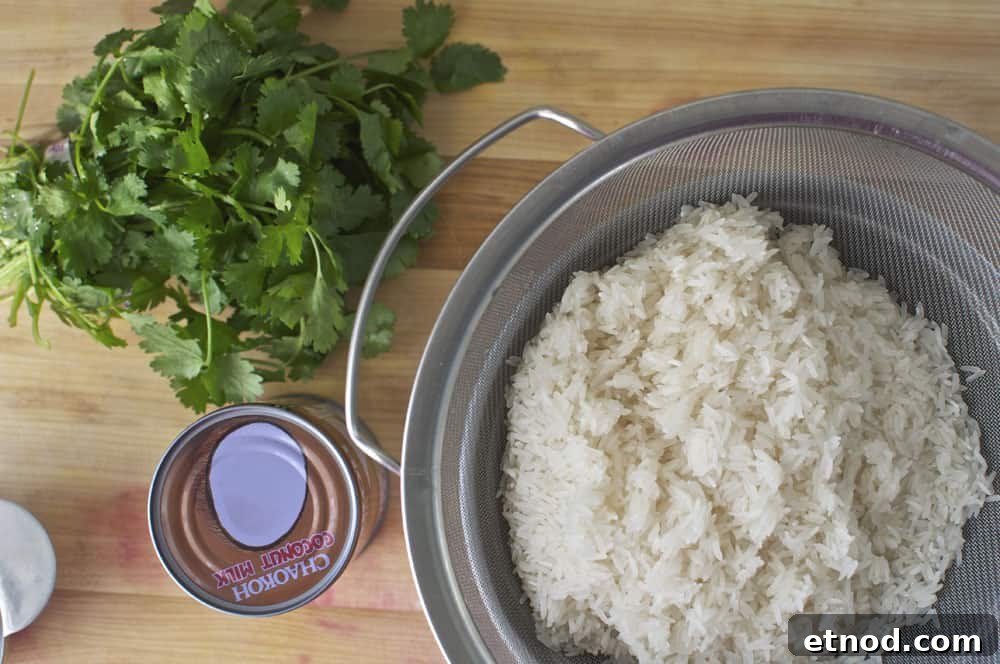 This coconut-cilantro rice is an easy and delicious gluten-free side dish made with coconut milk and topped with fresh cilantro and toasted almonds. Coconut Cilantro Rice {Dairy Free}