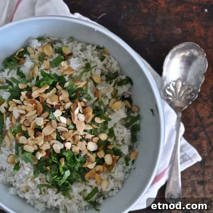 Coconut Cilantro Rice Recipe {Dairy Free, Gluten Free}