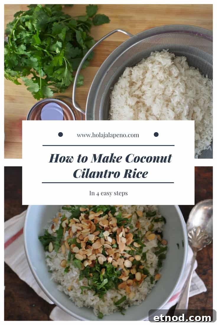 Coconut Cilantro Rice Recipe — Fragrant Side Dish 4 This coconut-cilantro rice is an easy and delicious gluten-free side dish made with coconut milk and topped with fresh cilantro and toasted almonds. #healthyLatinFood #glutenfreerecipe #ricerecipe