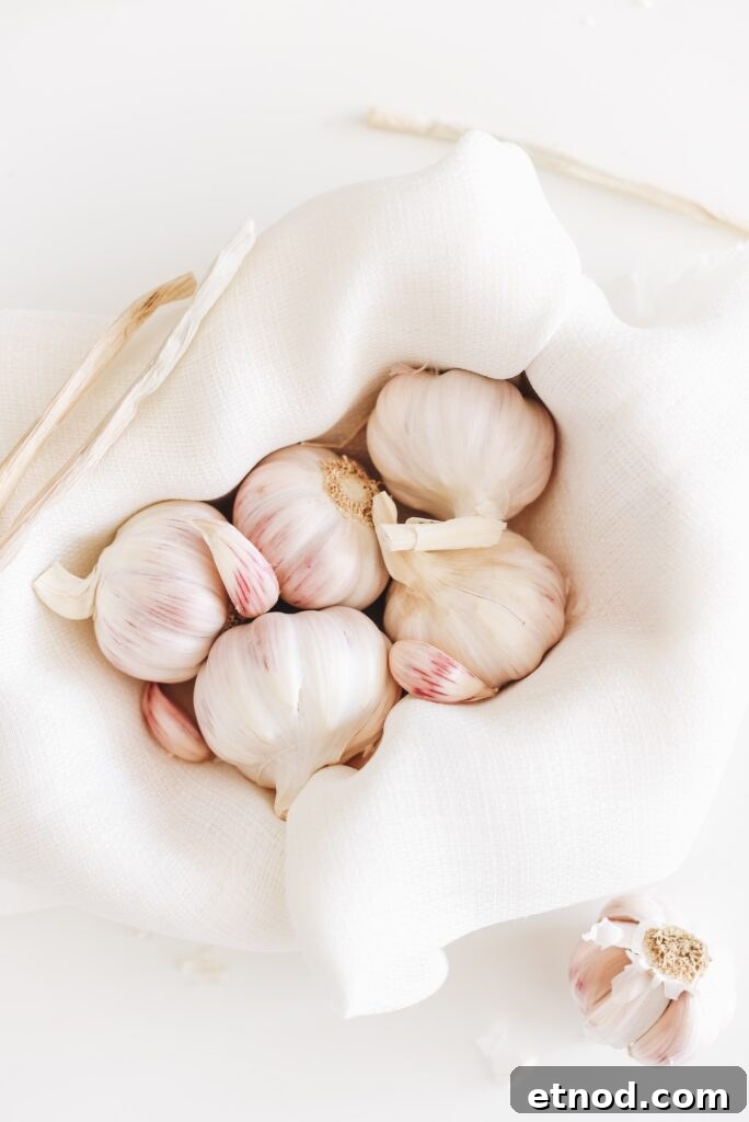 A basket of garlic, a prebiotic source.