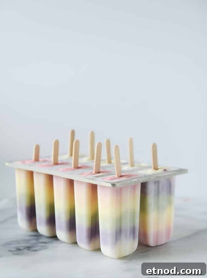 Rainbow Fruity Frozen Yogurt Popsicles: Refreshing Summer Treat 6 rainbow froyo pops I howsweeteats.com
