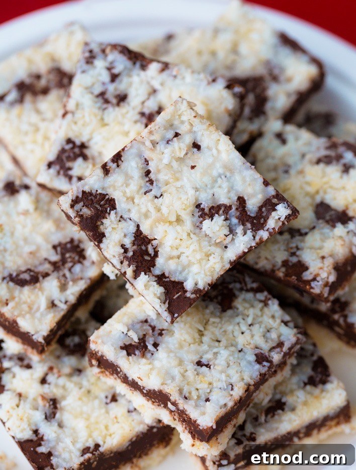 No Bake Vegan Chocolate Coconut Bars No Bake Vegan Chocolate Coconut Bars