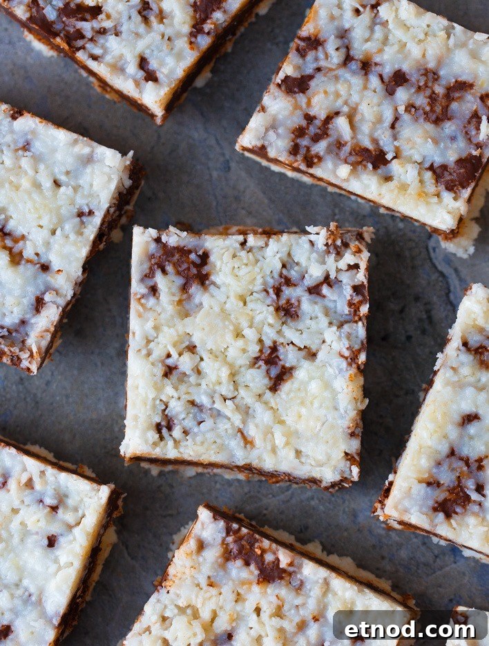 GOOEY Chocolate Fudge Coconut Bars GOOEY Chocolate Fudge Coconut Bars