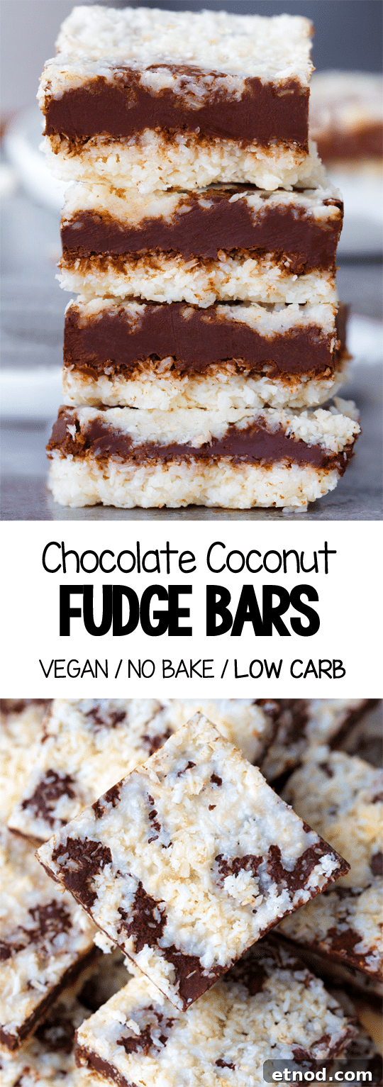 No Bake Coconut Chocolate Fudge Bars (Low Carb, Keto, Vegan) No Bake Coconut Chocolate Fudge Bars (Low Carb, Keto, Vegan)