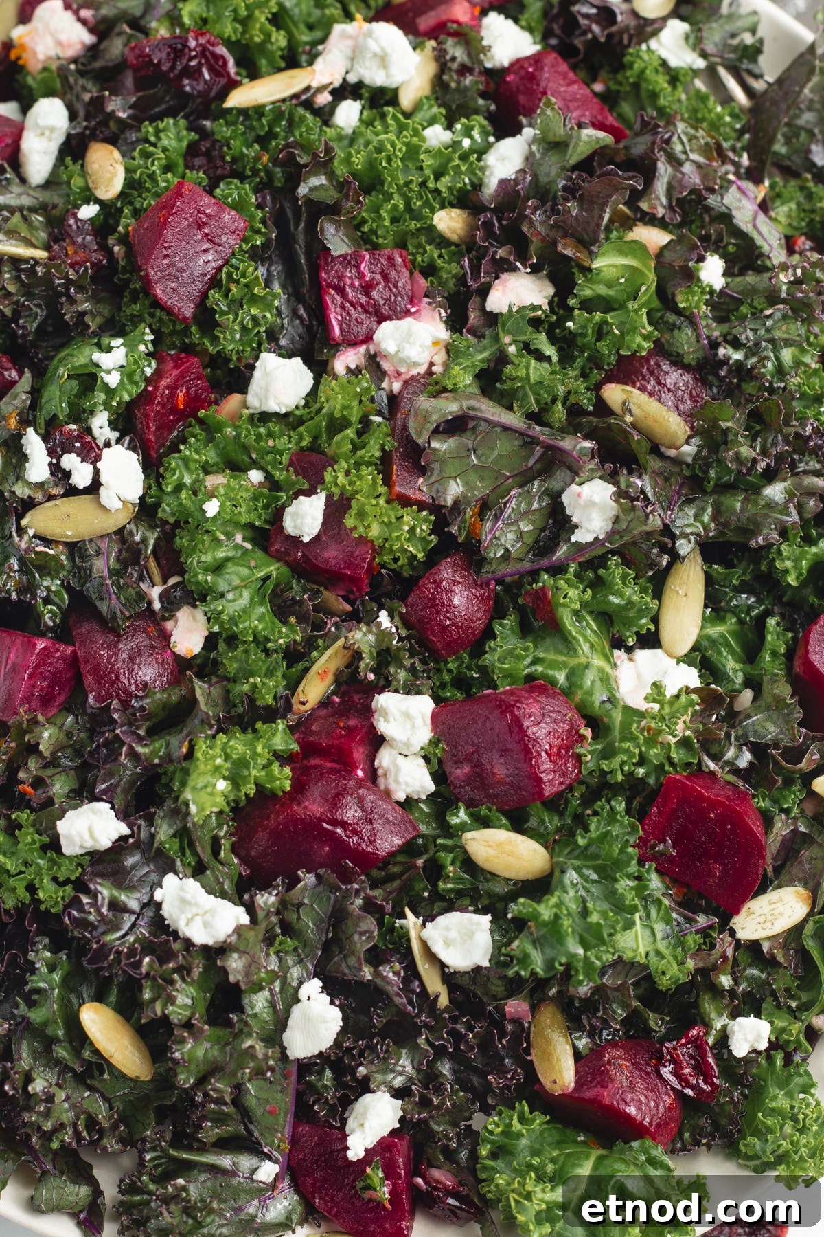 Kale Salad with Roasted Beets and Orange Vinaigrette 9 This is a close up picture of the kale salad.