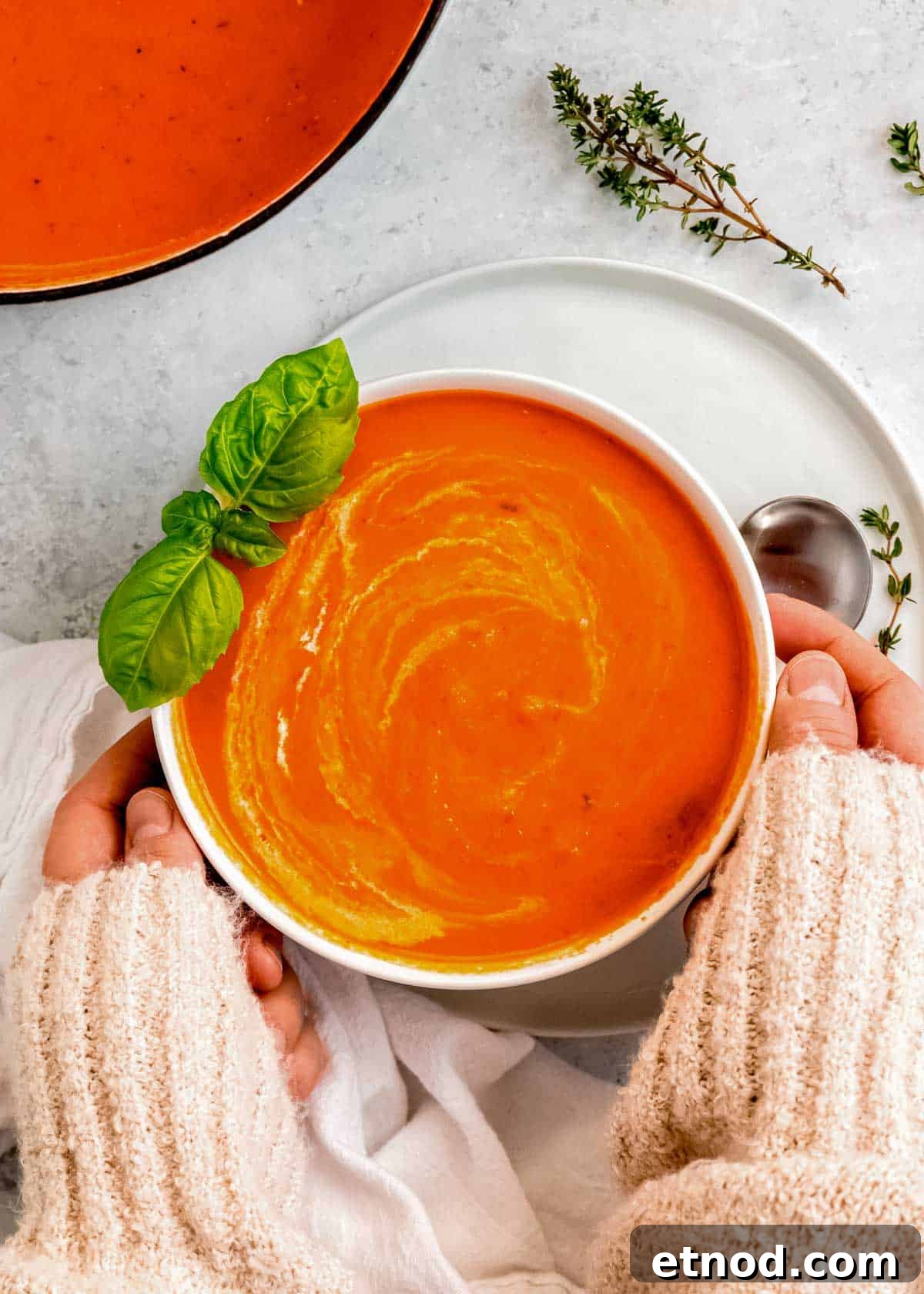Creamy Roasted Red Pepper Soup with Garlic and Basil 2 two hands grabbing a white bowl full of creamy roasted red pepper soup, garnished with basil, heavy cream, and thyme