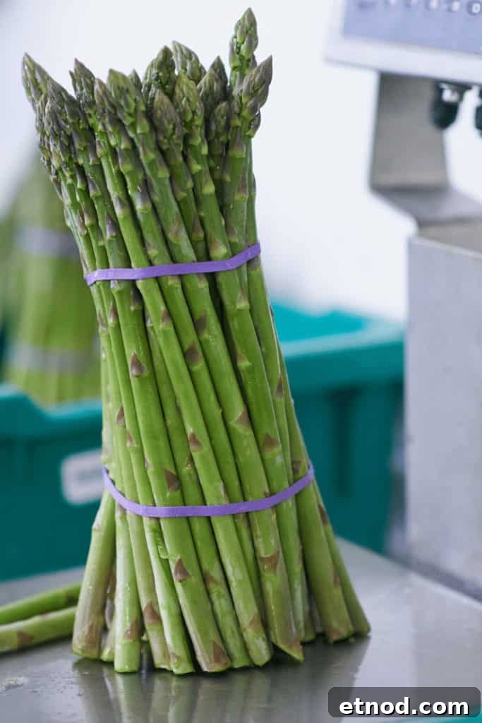 Bunch of Asparagus in a Weighing Scale Bunch of Asparagus in a Weighing Scale
