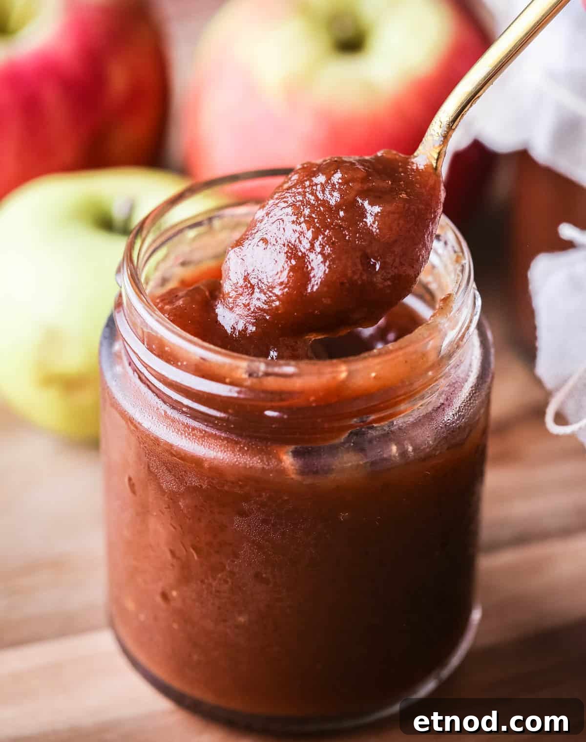 Homemade Oven-Baked Apple Butter Recipe for Spreads & Gifts 3 A spoon of richly glossy thick apple butter scooped out from jar.