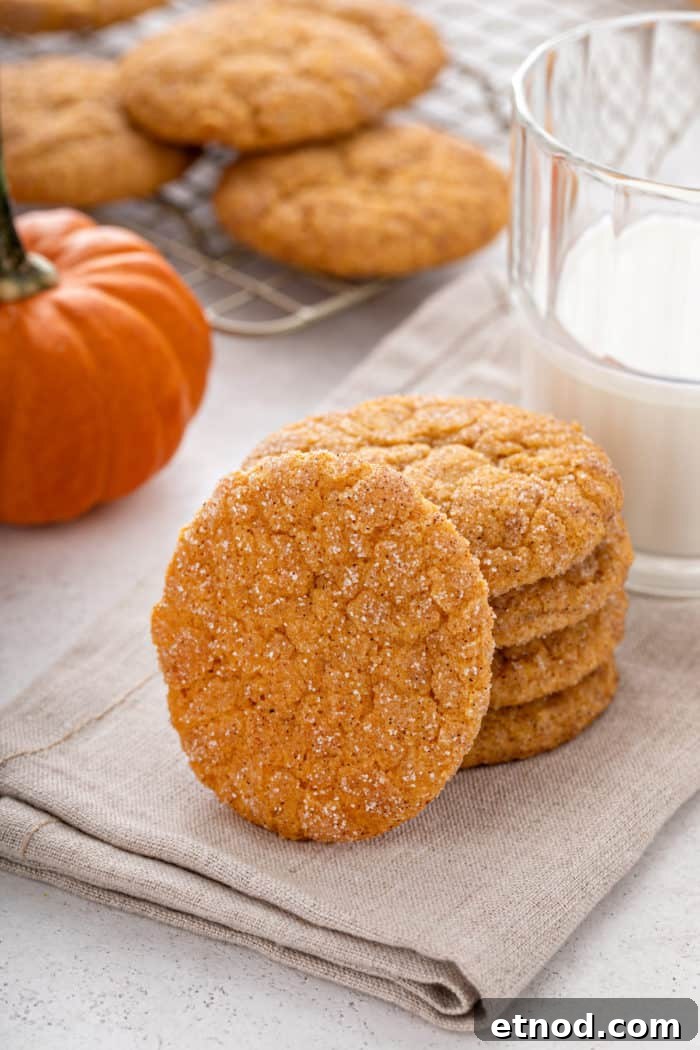 Chewy Pumpkin Snickerdoodles Recipe for Fall Baking 2 Four pumpkin snickerdoodles stacked on a cloth napkin with a fifth cookie leaning against the stack.
