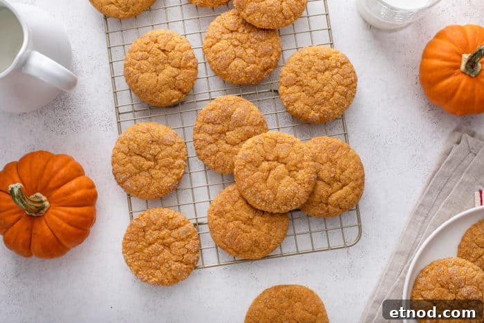 Chewy Pumpkin Snickerdoodles Recipe for Fall Baking 8 Pumpkin snickerdoodles cooling on a wire rack.