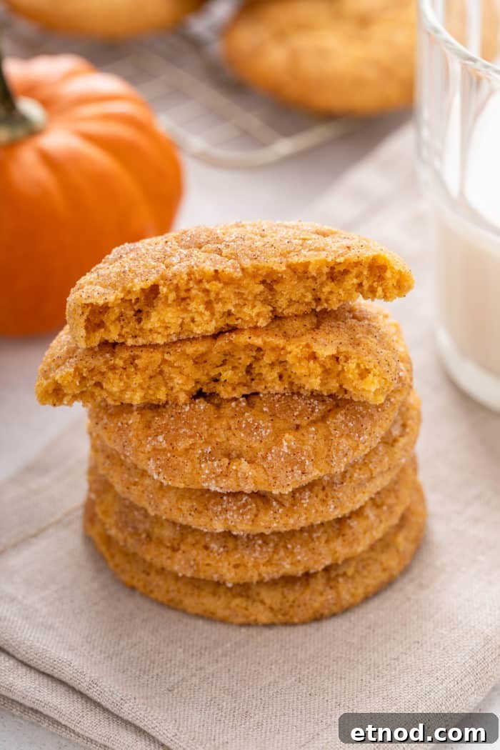 Chewy Pumpkin Snickerdoodles Recipe for Fall Baking 9 Four pumpkin snickerdoodles stacked on a linen napkin. The top cookie is broken in half to show the inner texture.