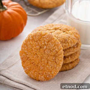 Chewy Pumpkin Snickerdoodles Recipe for Fall Baking 10 img 50514 13