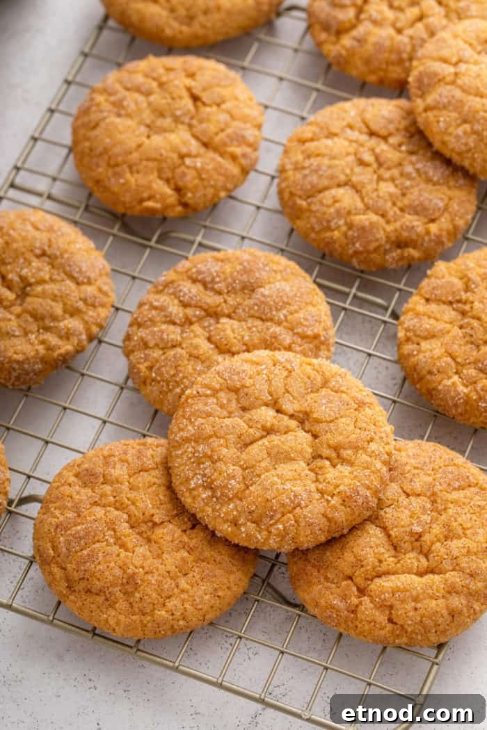 Chewy Pumpkin Snickerdoodles Recipe for Fall Baking 3 Close up image of pumpkin snickerdoodles on a wire cooling rack.