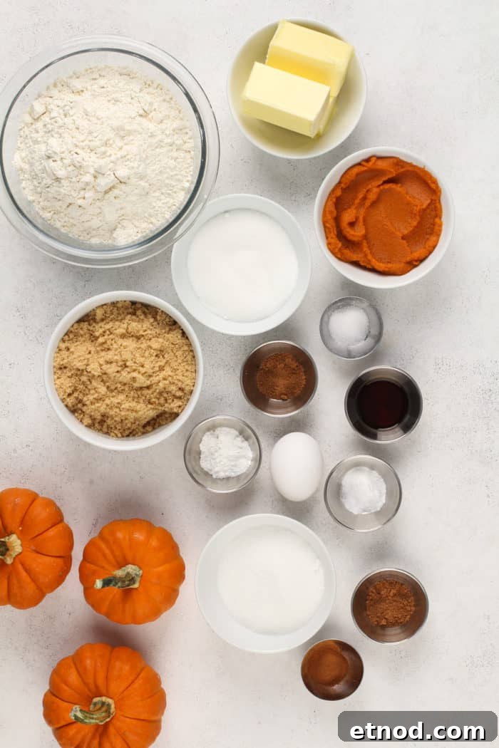 Chewy Pumpkin Snickerdoodles Recipe for Fall Baking 5 Ingredients for pumpkin snickerdoodles arranged on a white countertop.