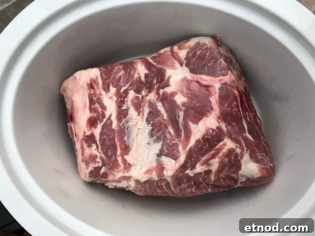 Slow Cooker BBQ Pulled Pork Recipe for Tender, Shredded Pork 3 img 5116 2