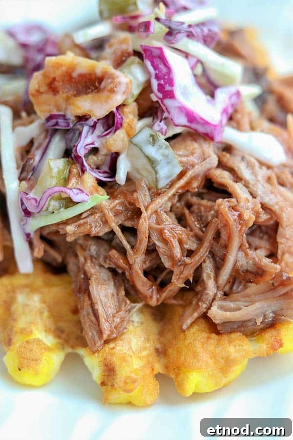 Slow Cooker BBQ Pulled Pork Recipe for Tender, Shredded Pork 8 Slow Cooker BBQ Pulled Pork (Instant Pot BBQ Pork)