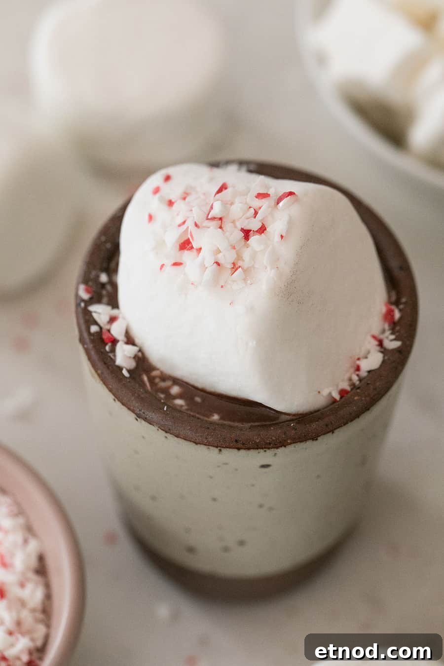 Creamy Homemade Hot Chocolate Recipe for Rich, Cozy Cocoa 3 Rich and creamy hot chocolate with a giant marshmallow and crushed candy canes.