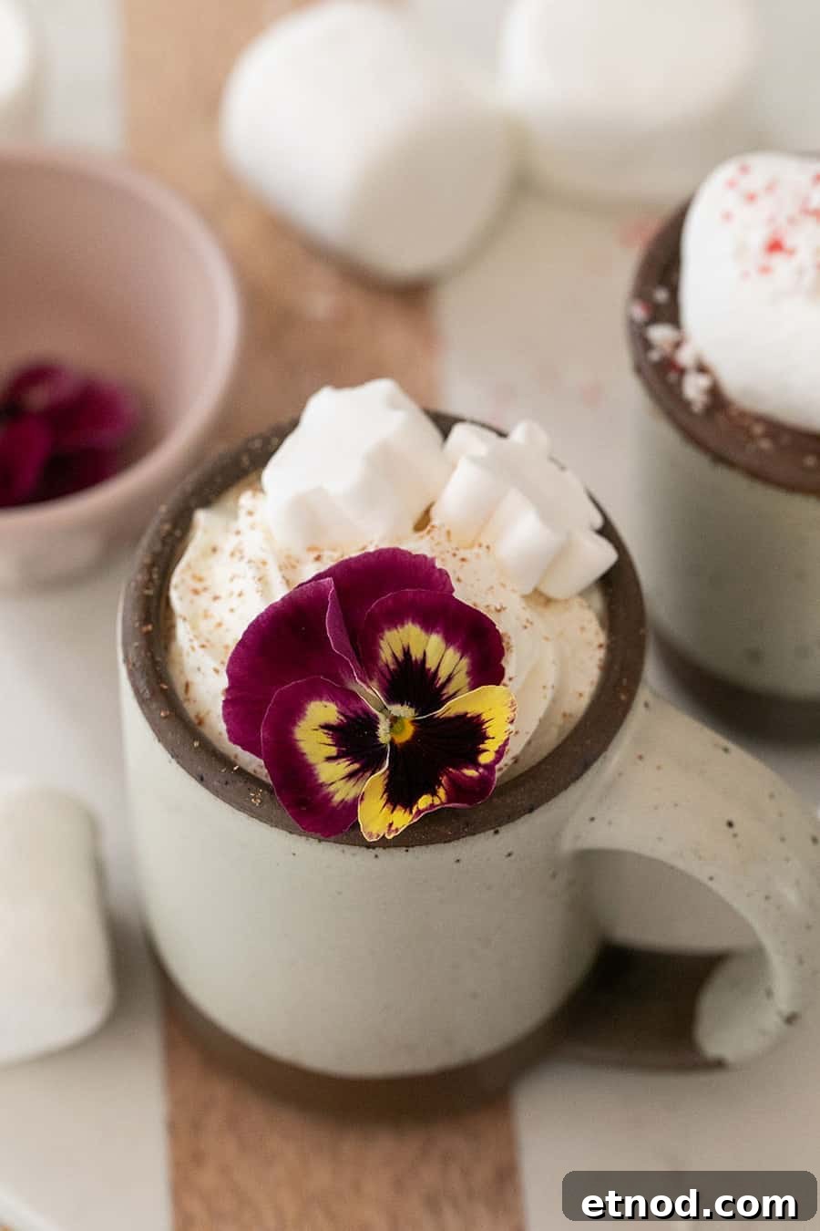 Creamy Homemade Hot Chocolate Recipe for Rich, Cozy Cocoa 8 Hot chocolate in a mug topped with whipped cream and an edible flower.