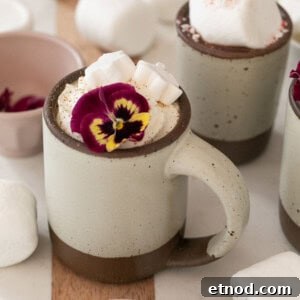 Creamy Homemade Hot Chocolate Recipe for Rich, Cozy Cocoa 9 the best hot chocolate recipe