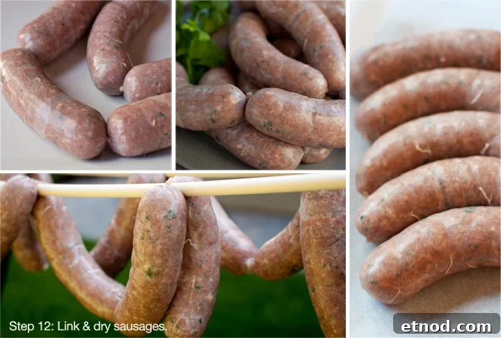 Homemade beer bratwurst twisted into links.