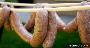 A string of homemade beer bratwurst sausages hanging on a dowel.