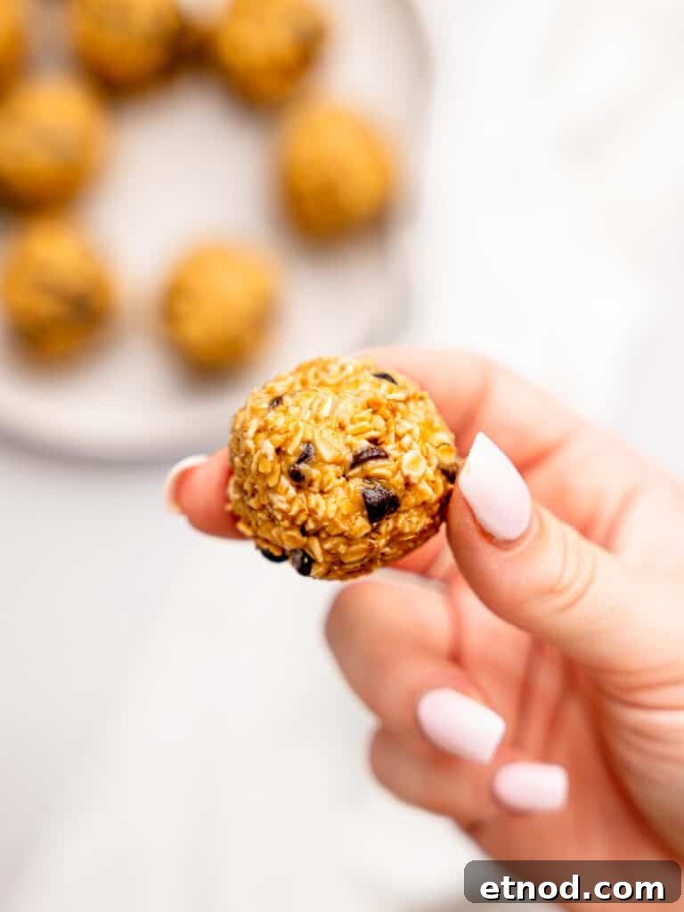 Peanut butter oatmeal balls rolled into a ball.