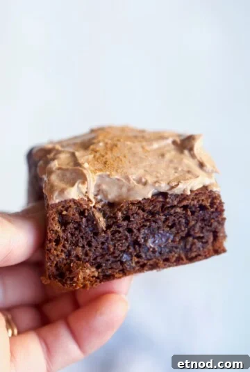 Chocolate Cream Cheese Frosting Recipe with Reduced Sugar 6 hand holding brownie with chocolate frosting.