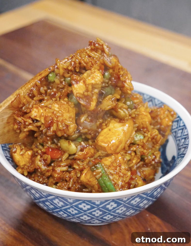 Wooden spoon scooping and serving chicken fried rice into a bowl, showing glossy rice with tender chicken and mixed vegetables coated in sauce.