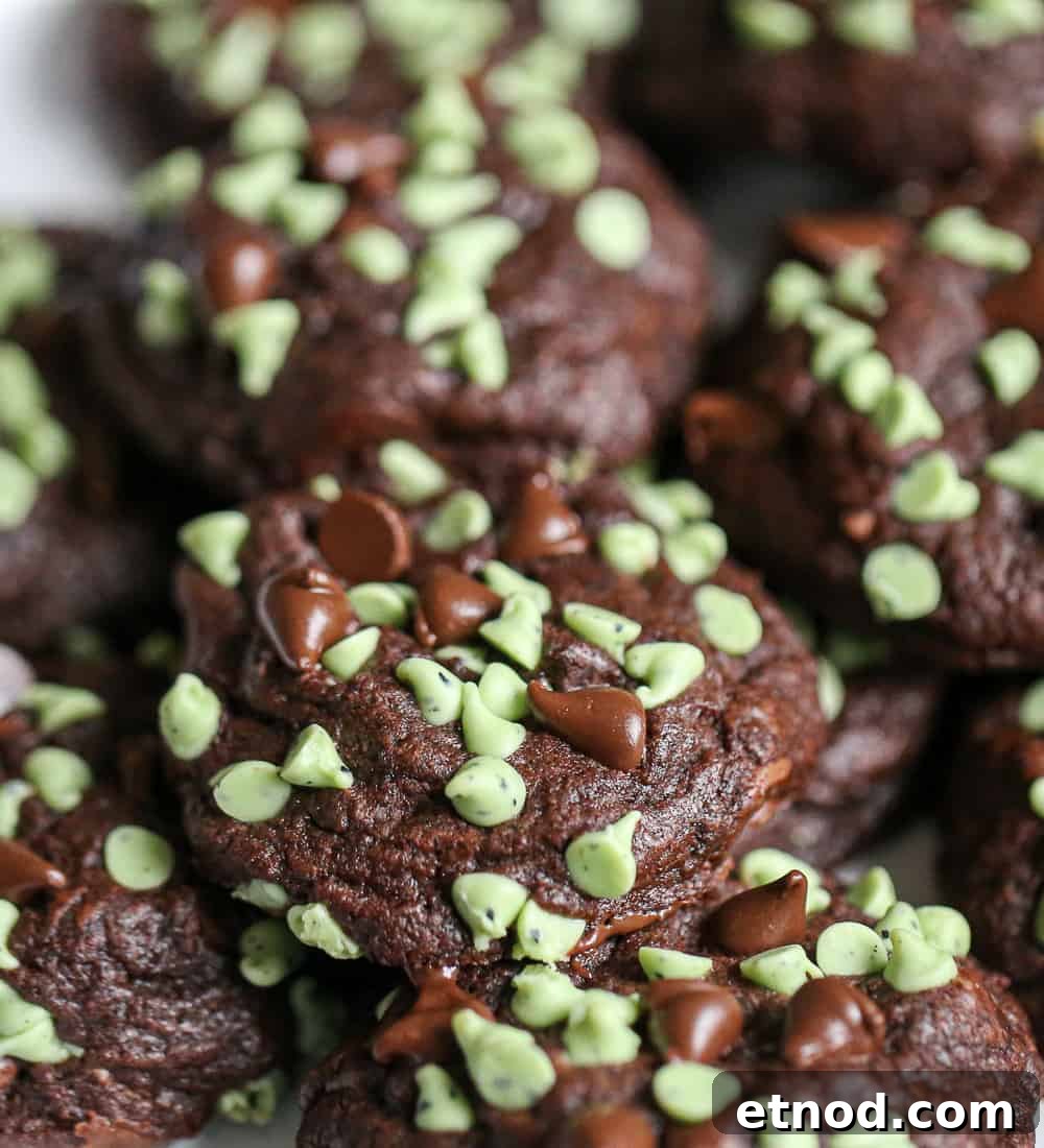 Soft-Baked Chocolate Mint Chip Cookies Recipe 2 Soft Batch Chocolate Mint Chip Cookies recipe